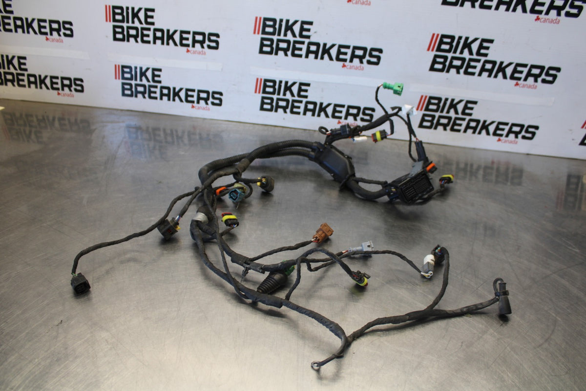 24 APRILIA TUONO V4 1100 FACTORY ABS SUB WIRING HARNESS SUB WIRE LOOM BB887