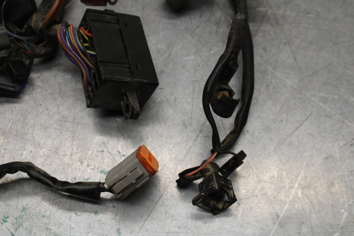 14-16 TRIUMPH AMERICA LT MAIN ENGINE WIRING HARNESS MOTOR WIRE LOOM BB720
