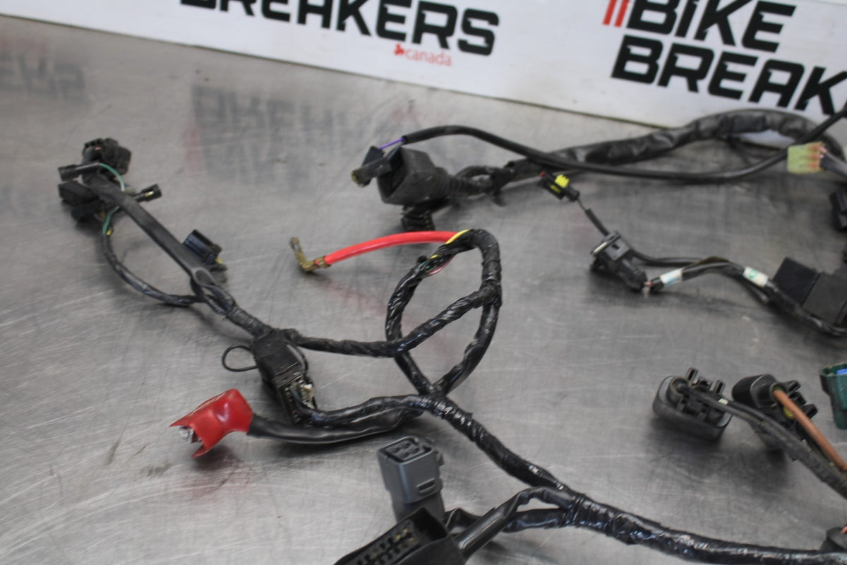 12 TRIUMPH STREET TRIPLE R MAIN ENGINE WIRING HARNESS MOTOR WIRE LOOM BB914