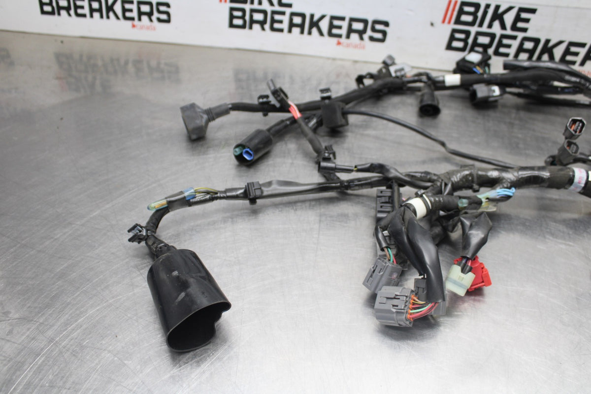 24-25 KAWASAKI NINJA ZX6R MAIN ENGINE WIRING HARNESS MOTOR WIRE LOOM BB939
