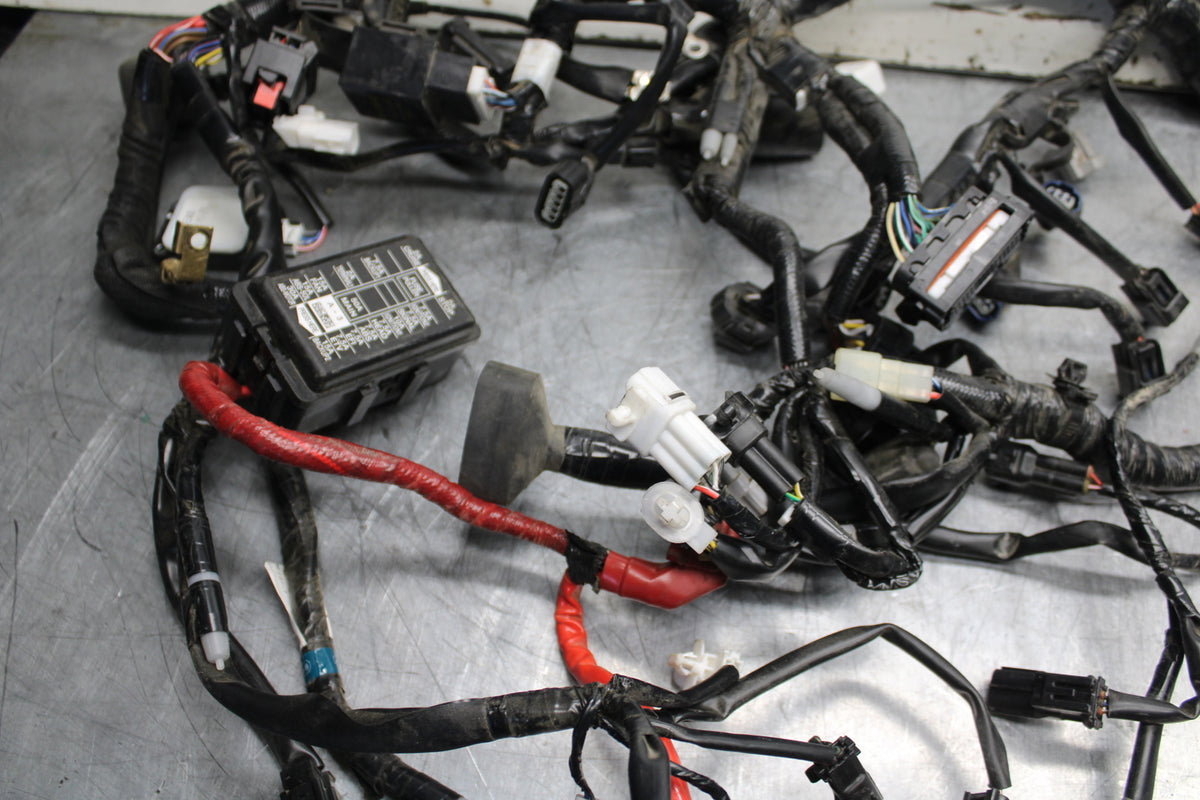 22-24 YAMAHA XSR900 MAIN ENGINE WIRING HARNESS MOTOR WIRE LOOM BB710