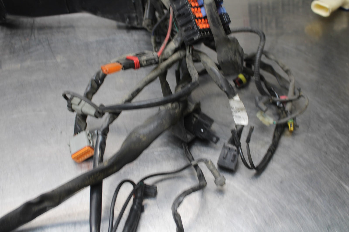 08 HARLEY-DAVIDSON ELECTRA GLIDE POLICE EFI FLHTPI MAIN WIRING HARNESS BB816