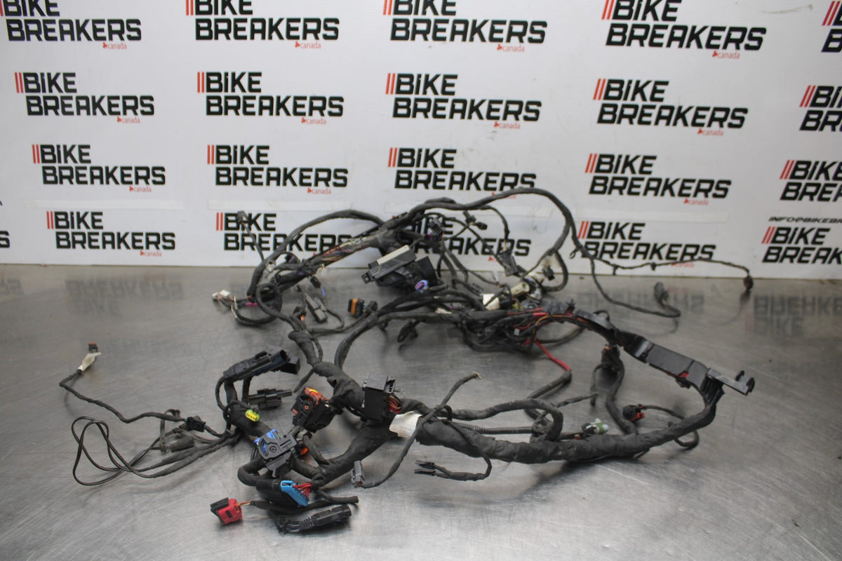 22 HARLEY-DAVIDSON PAN AMERICA 1250 MAIN WIRING HARNESS & MOTOR WIRE LOOM BB910