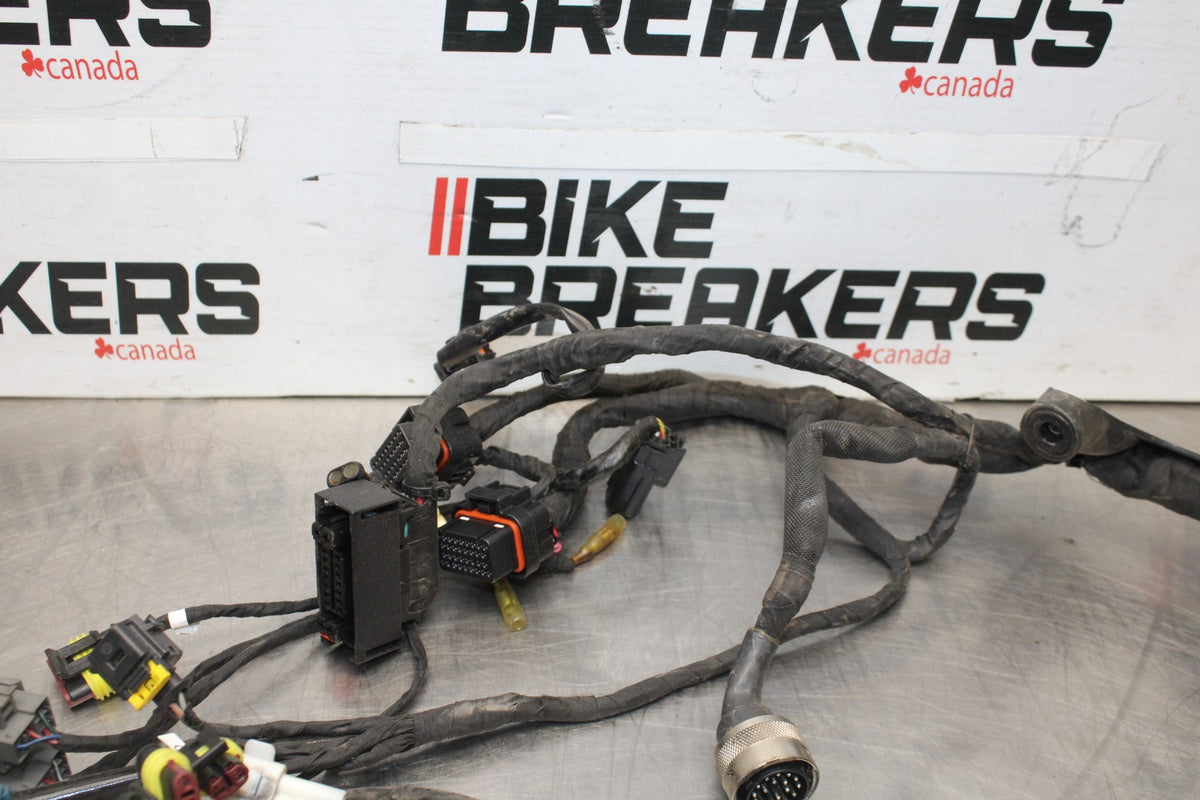 16 DUCATI 959 PANIGALE MAIN ENGINE WIRING HARNESS MOTOR WIRE LOOM BB912