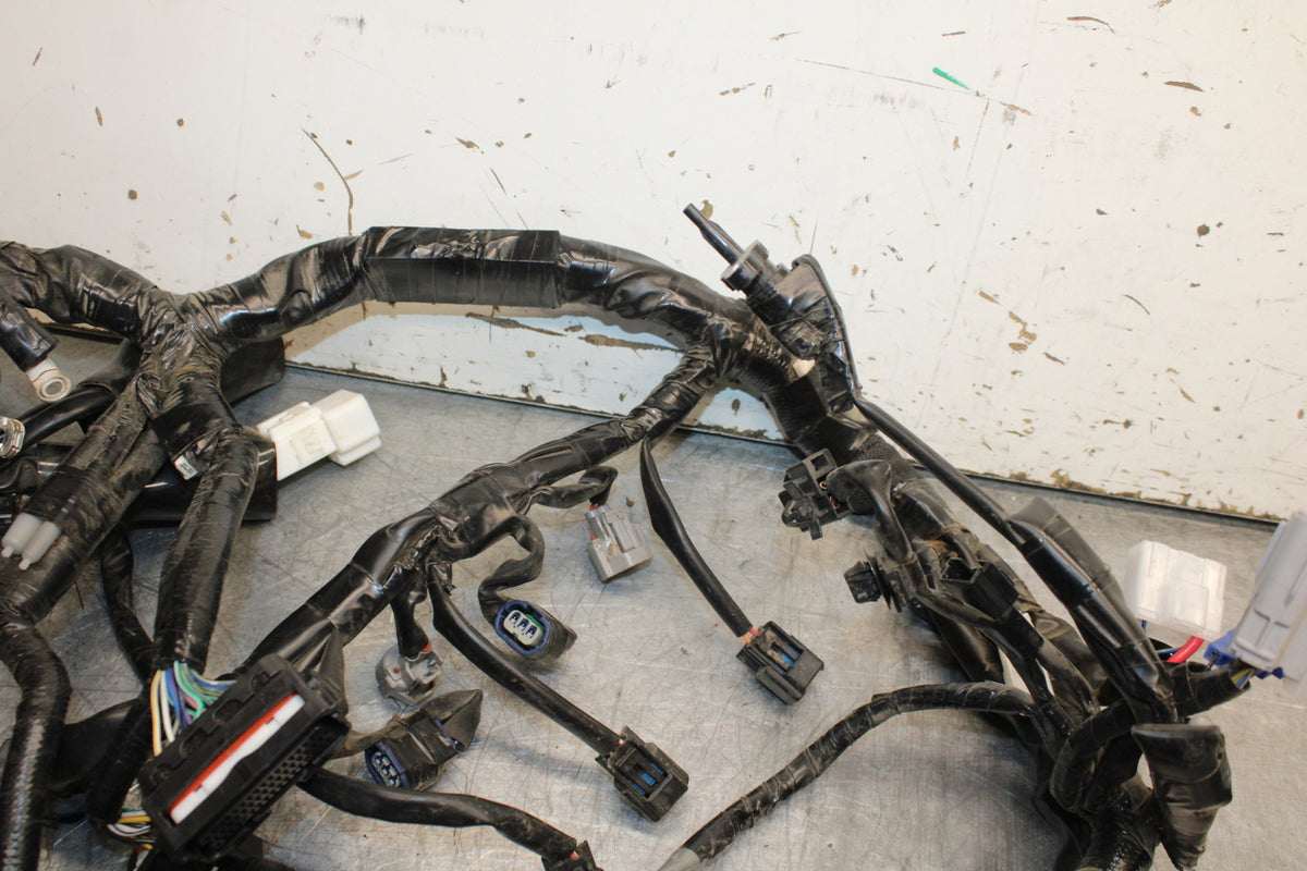 22-24 YAMAHA XSR900 MAIN ENGINE WIRING HARNESS MOTOR WIRE LOOM BB710