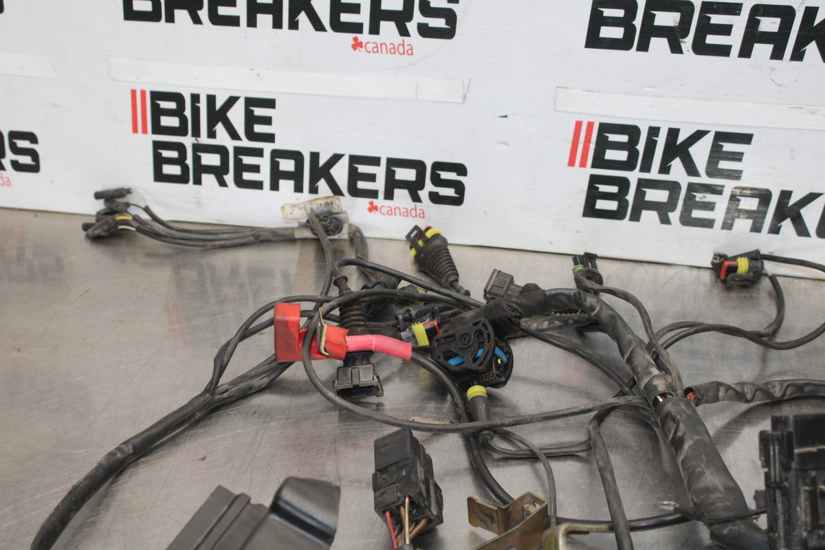 05 DUCATI SUPERSPORT 800 MAIN ENGINE WIRING HARNESS MOTOR WIRE LOOM BB913