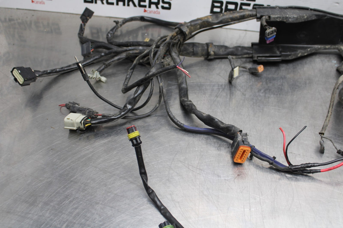 08 HARLEY-DAVIDSON ELECTRA GLIDE POLICE EFI FLHTPI MAIN WIRING HARNESS BB816