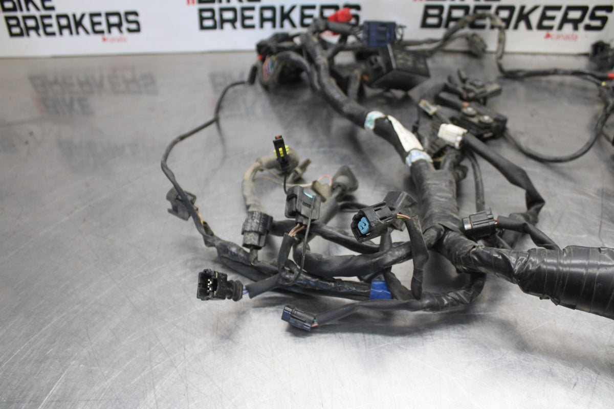 05-08 TRIUMPH SPEED TRIPLE 1050 MAIN ENGINE WIRING HARNESS MOTOR WIRE LOOM BB933