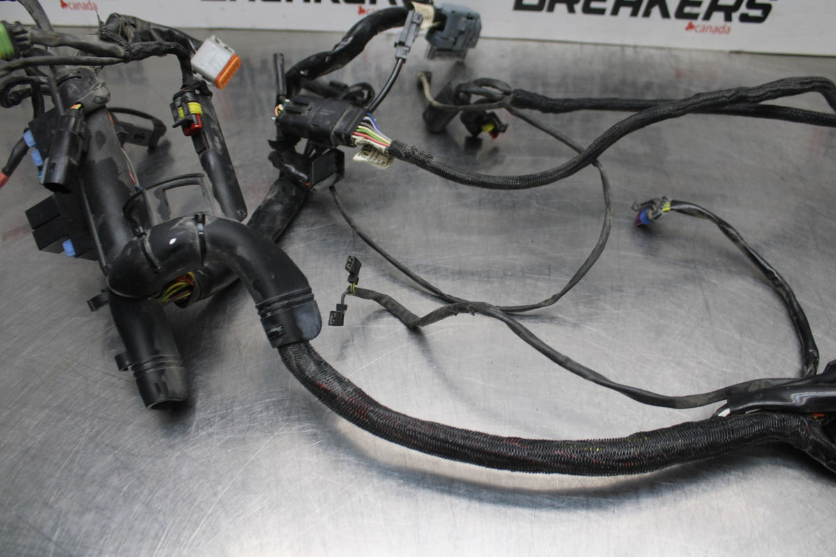 07 HARLEY-DAVIDSON SPORTSTER 1200 XL1200C MAIN ENGINE WIRING HARNESS  BB833