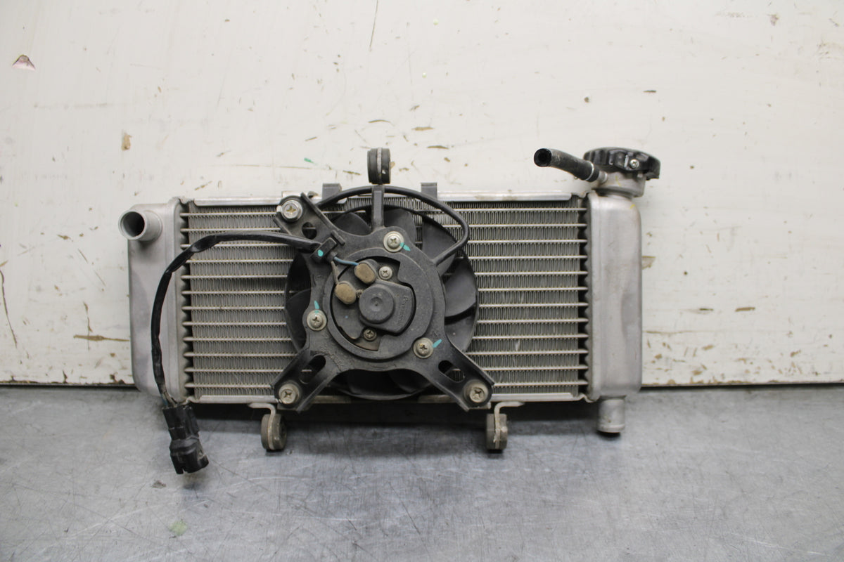 15-16 HONDA CB300F ENGINE RADIATOR MOTOR COOLER COOLING RADIATER BB740