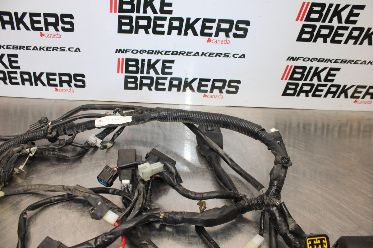 09 YAMAHA V STAR 950 MAIN ENGINE WIRING HARNESS MOTOR WIRE LOOM BB172