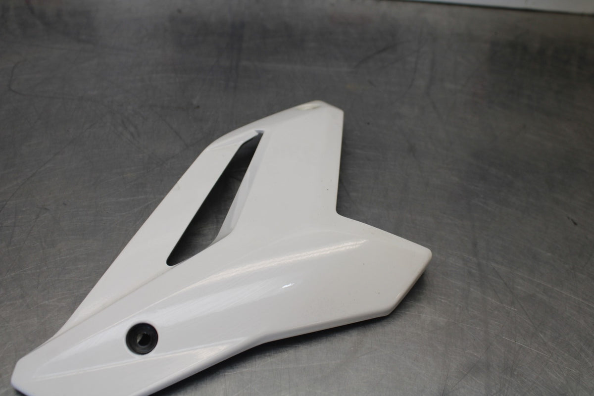 17-20 BMW S1000R LEFT LOWER BOTTOM BELLY SIDE FAIRING COWL BB909