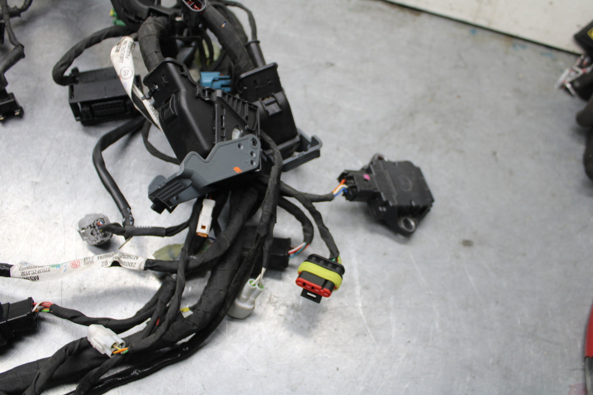 21-24 APRILIA TUONO 660 FACTORY MAIN ENGINE WIRING HARNESS MOTOR WIRE LOOM BB733