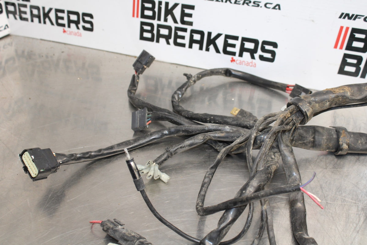 08 HARLEY-DAVIDSON ELECTRA GLIDE POLICE EFI FLHTPI MAIN WIRING HARNESS BB816