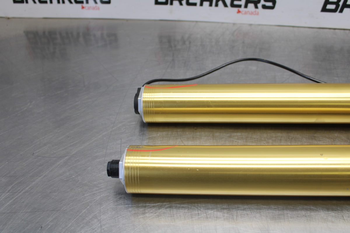 17-20 BMW S1000R FRONT FORKS SHOCK SUSPENSION SET PAIR BB909