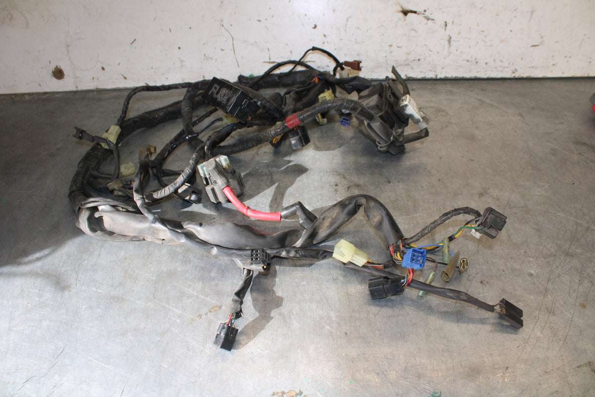 05-06 YAMAHA ROAD STAR XV1700A MAIN ENGINE WIRING HARNESS MOTOR WIRE LOOM BB703