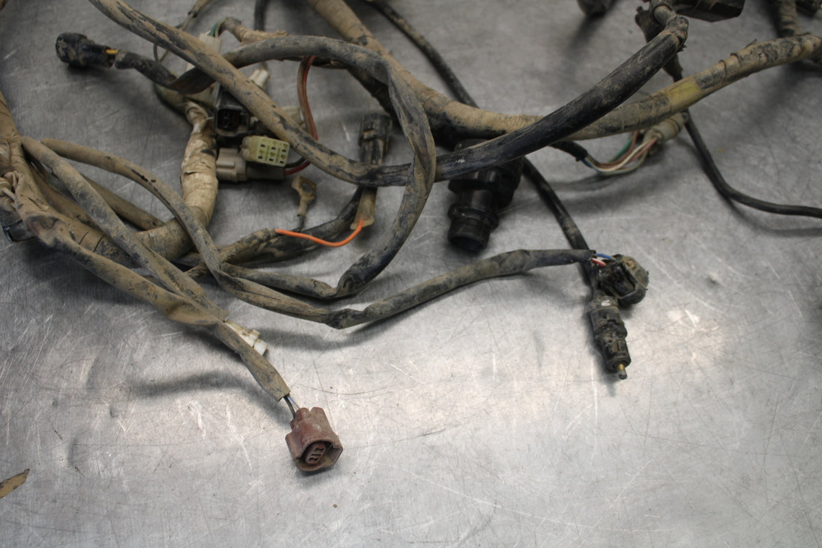 01-05 YAMAHA RAPTOR 660R MAIN ENGINE WIRING HARNESS MOTOR WIRE LOOM BB695