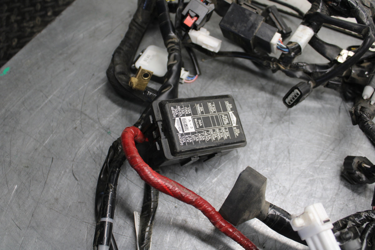 22-24 YAMAHA XSR900 MAIN ENGINE WIRING HARNESS MOTOR WIRE LOOM BB710