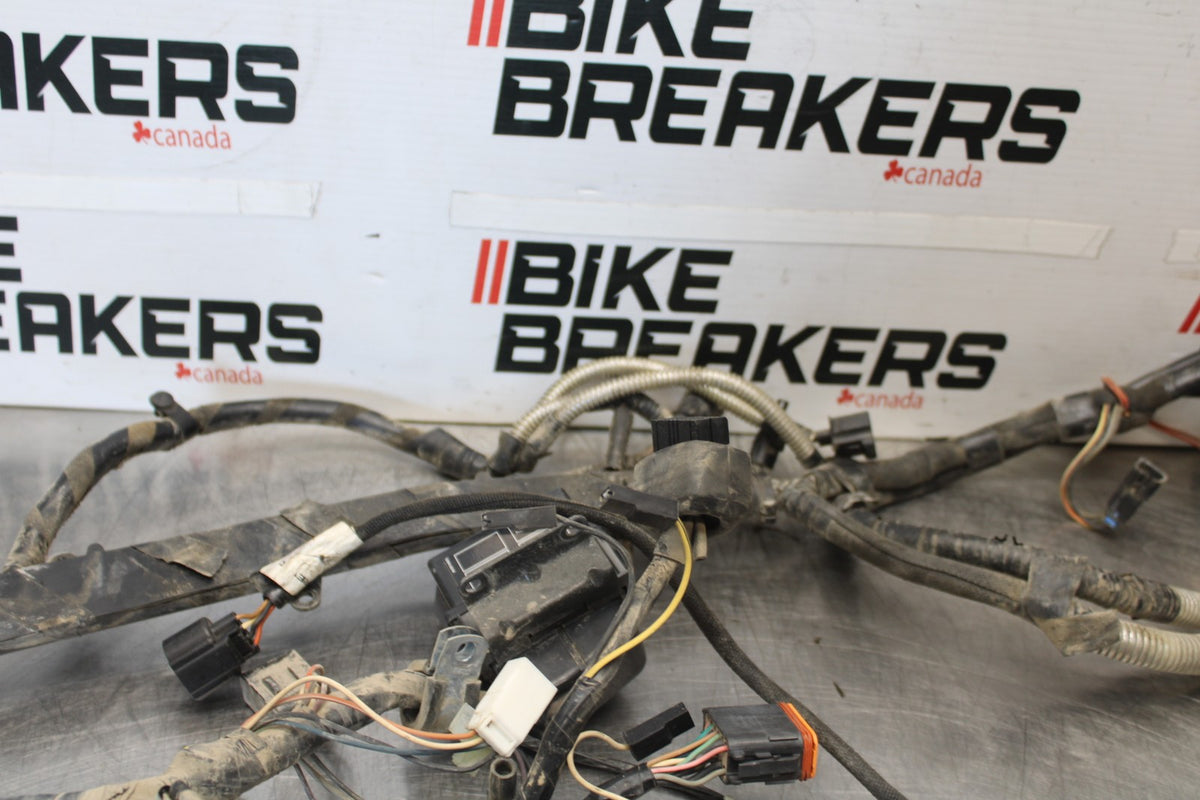 04 BUELL FIREBOLT XB12R ENGINE WIRING HARNESS MOTOR WIRE LOOM BB903