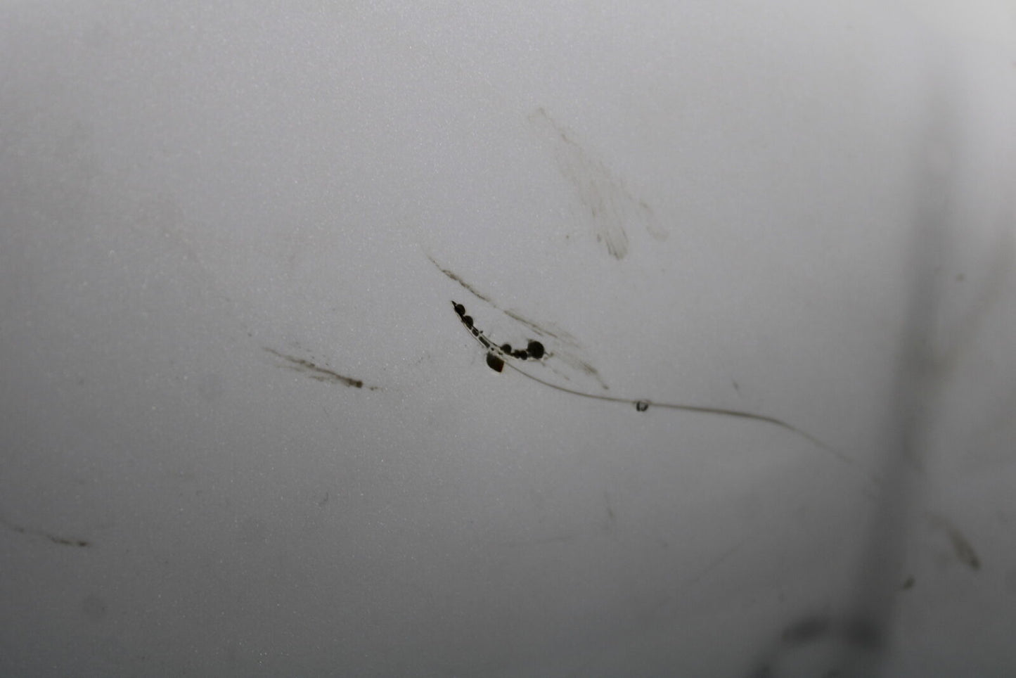 12-17 KAWASAKI ER-6N Z650 GAS TANK FUEL CELL PETROL RESERVOIR BB709