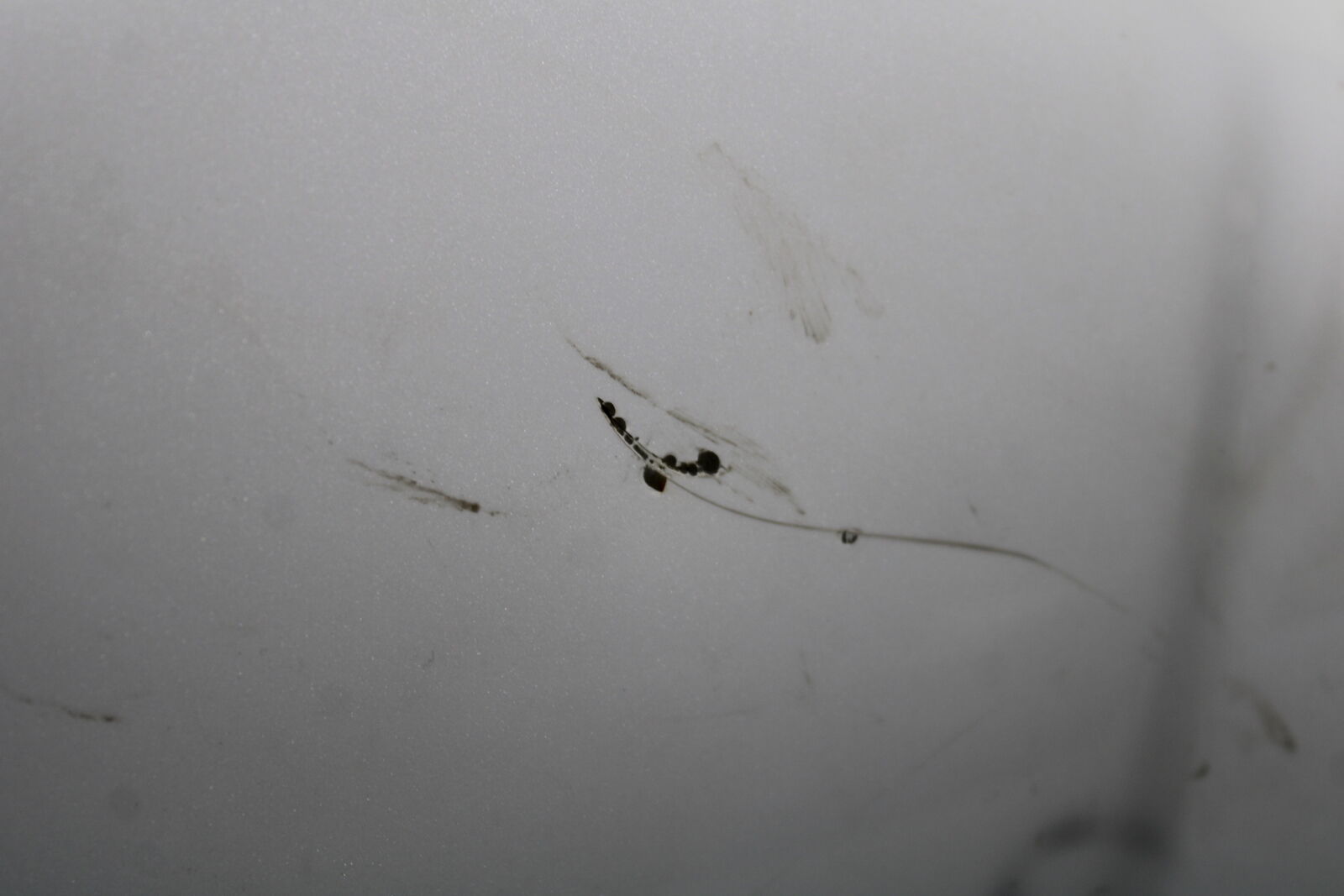 12-17 KAWASAKI ER-6N Z650 GAS TANK FUEL CELL PETROL RESERVOIR BB709