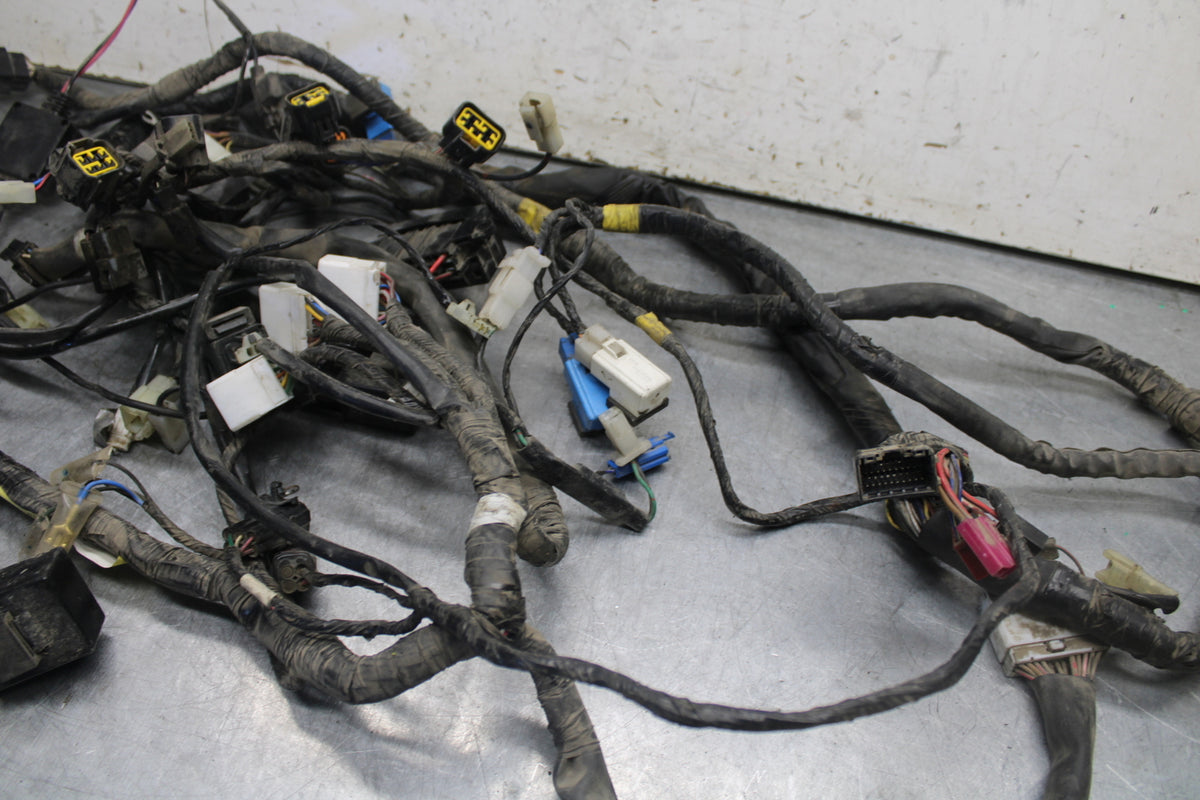 05-06 YAMAHA ROYAL STAR MAIN ENGINE WIRING HARNESS MOTOR WIRE LOOM BB697