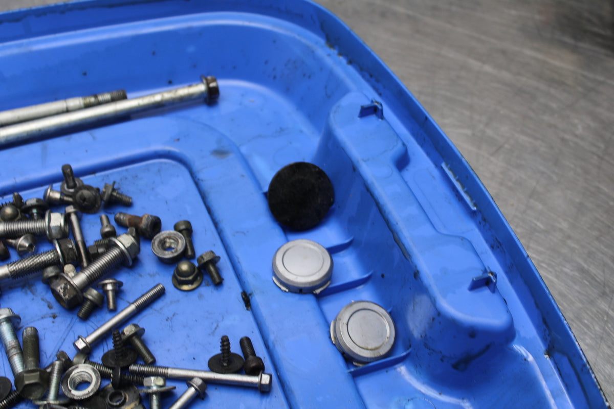 04-09 SUZUKI GS500F MOUNTING BOLTS HARDWARE MOTOR SCREWS BB165