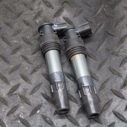 17 KAWASAKI NINJA 300 IGNITION COILS COIL SPARK PLUG CAPS 21171-0033 BB215