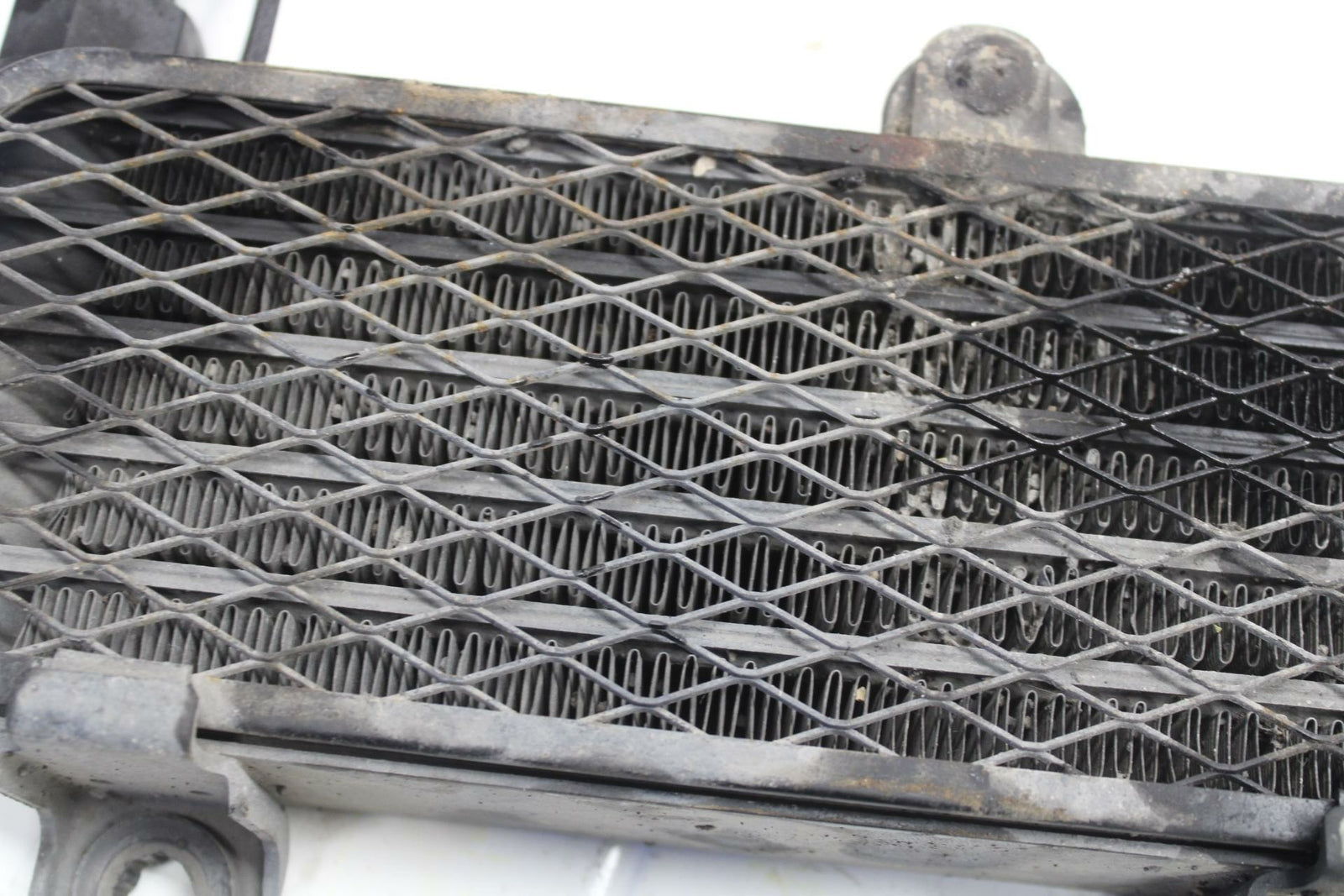 03-05 SUZUKI SV1000 ENGINE MOTOR OIL COOLER W/ HOSES BB405