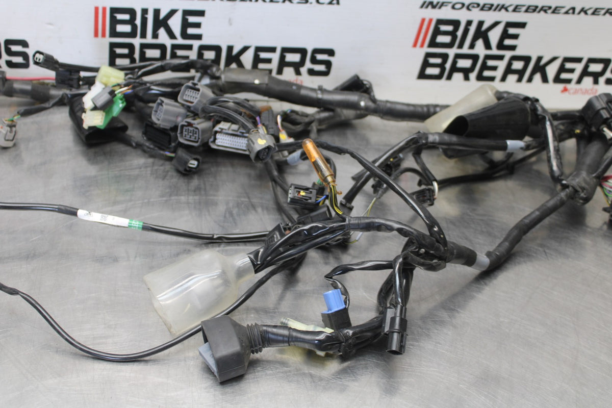 24-25 KAWASAKI ELIMINATOR 450 MAIN ENGINE WIRING HARNESS MOTOR WIRE LOOM BB869