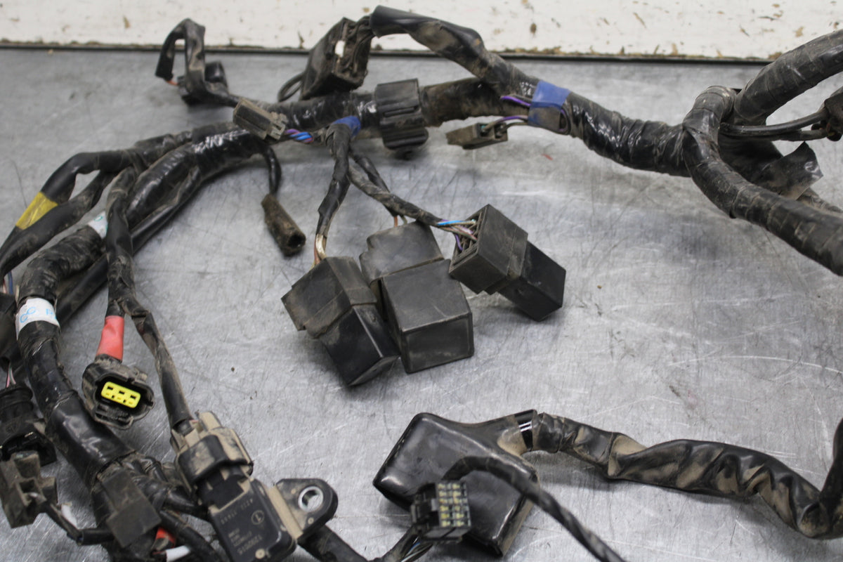 14-16 TRIUMPH AMERICA LT MAIN ENGINE WIRING HARNESS MOTOR WIRE LOOM BB720