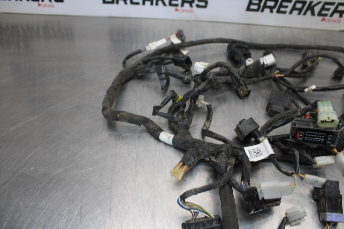 18-22 HUSQVARNA VITPILEN 701 MAIN ENGINE WIRING HARNESS MOTOR WIRE LOOM BB198