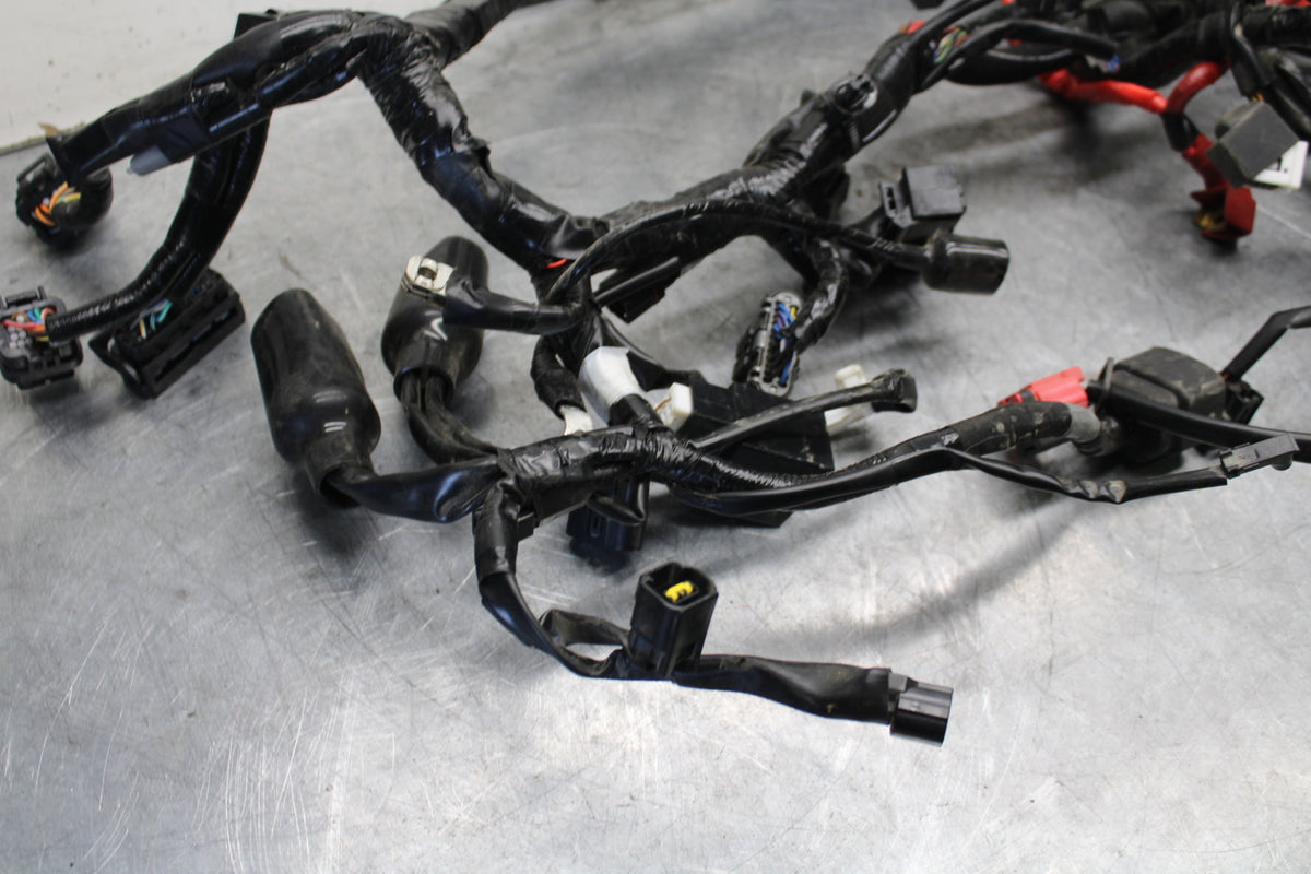 22-24 YAMAHA XSR900 MAIN ENGINE WIRING HARNESS MOTOR WIRE LOOM   BB683