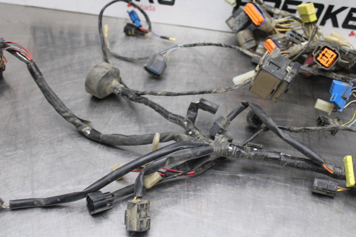 07-25 KAWASAKI VULCAN 900 VN900D CLASSIC LT MAIN ENGINE WIRING HARNESS BB842