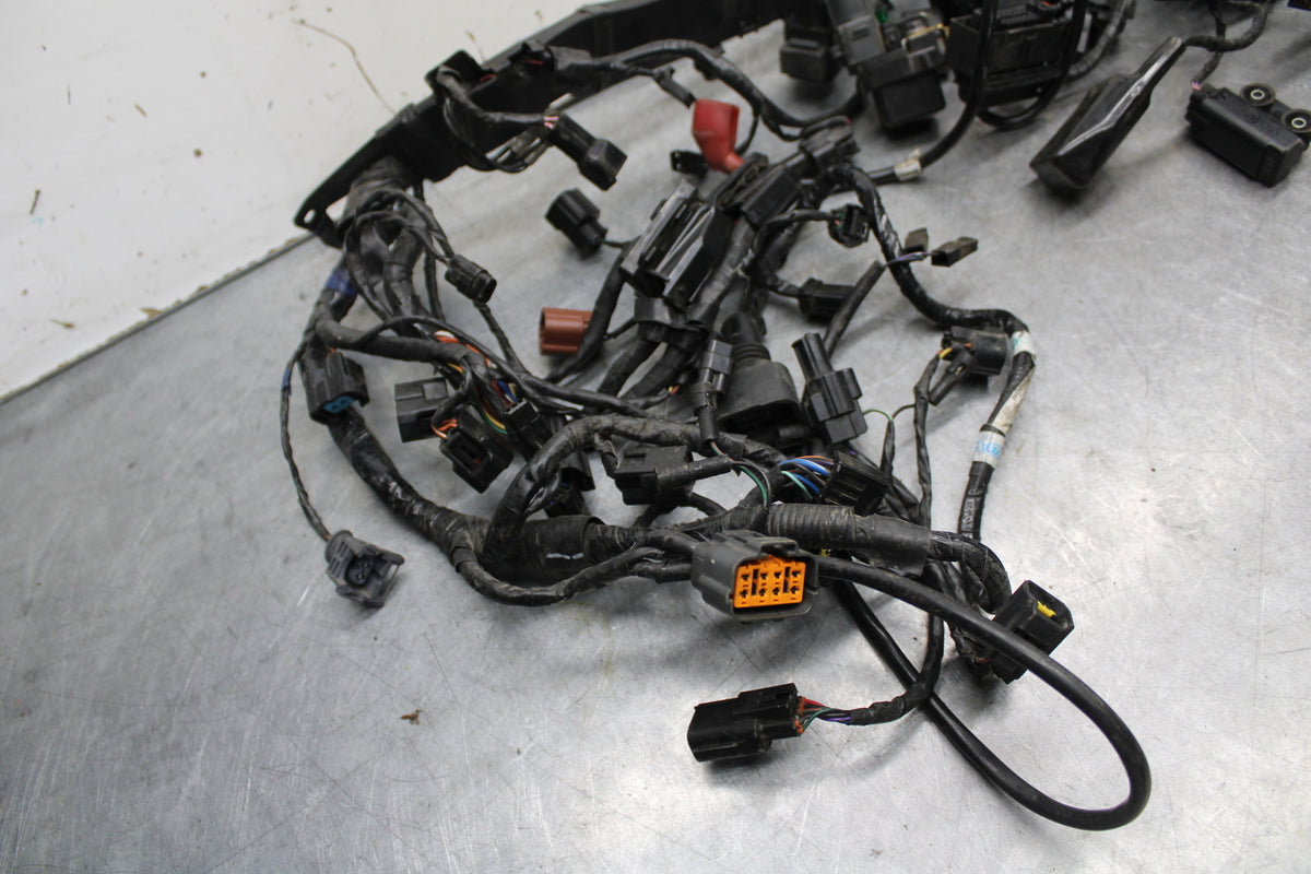 14-15 TRIUMPH STREET TRIPLE R MAIN ENGINE WIRING HARNESS MOTOR WIRE LOOM BB441