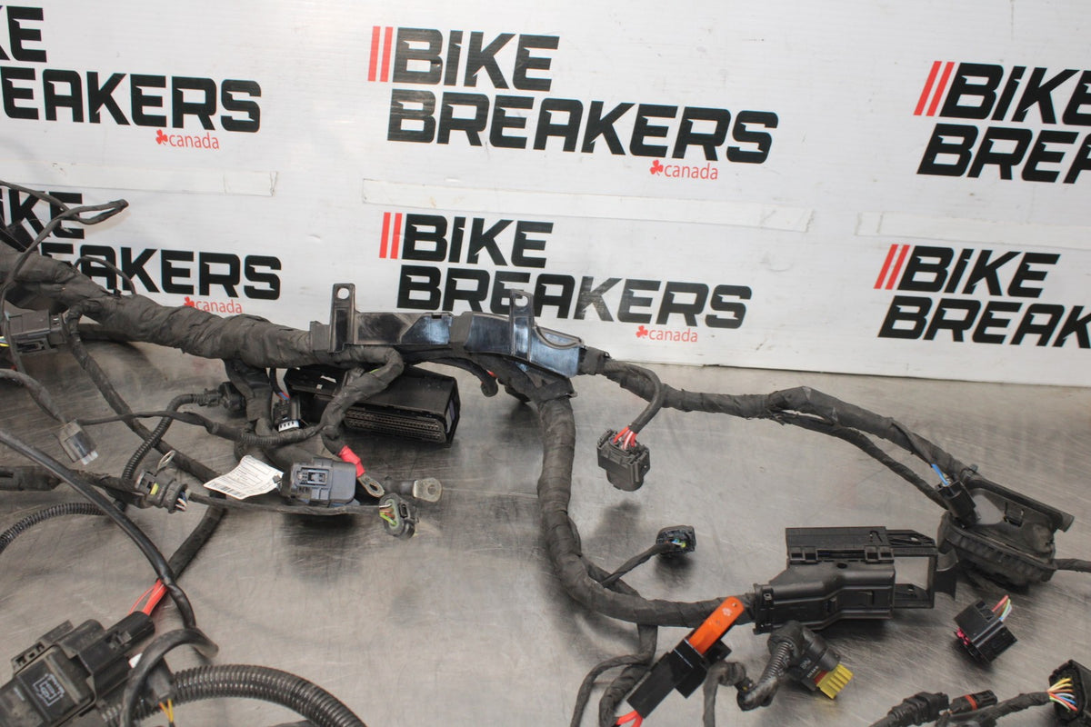 20-23 BMW F900R MAIN ENGINE WIRING HARNESS MOTOR WIRE LOOM BB923