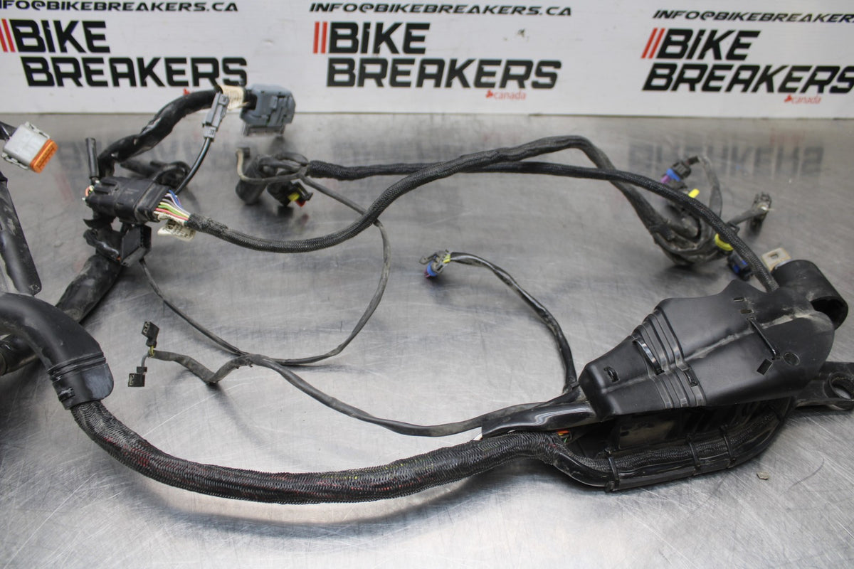 07 HARLEY-DAVIDSON SPORTSTER 1200 XL1200C MAIN ENGINE WIRING HARNESS  BB833