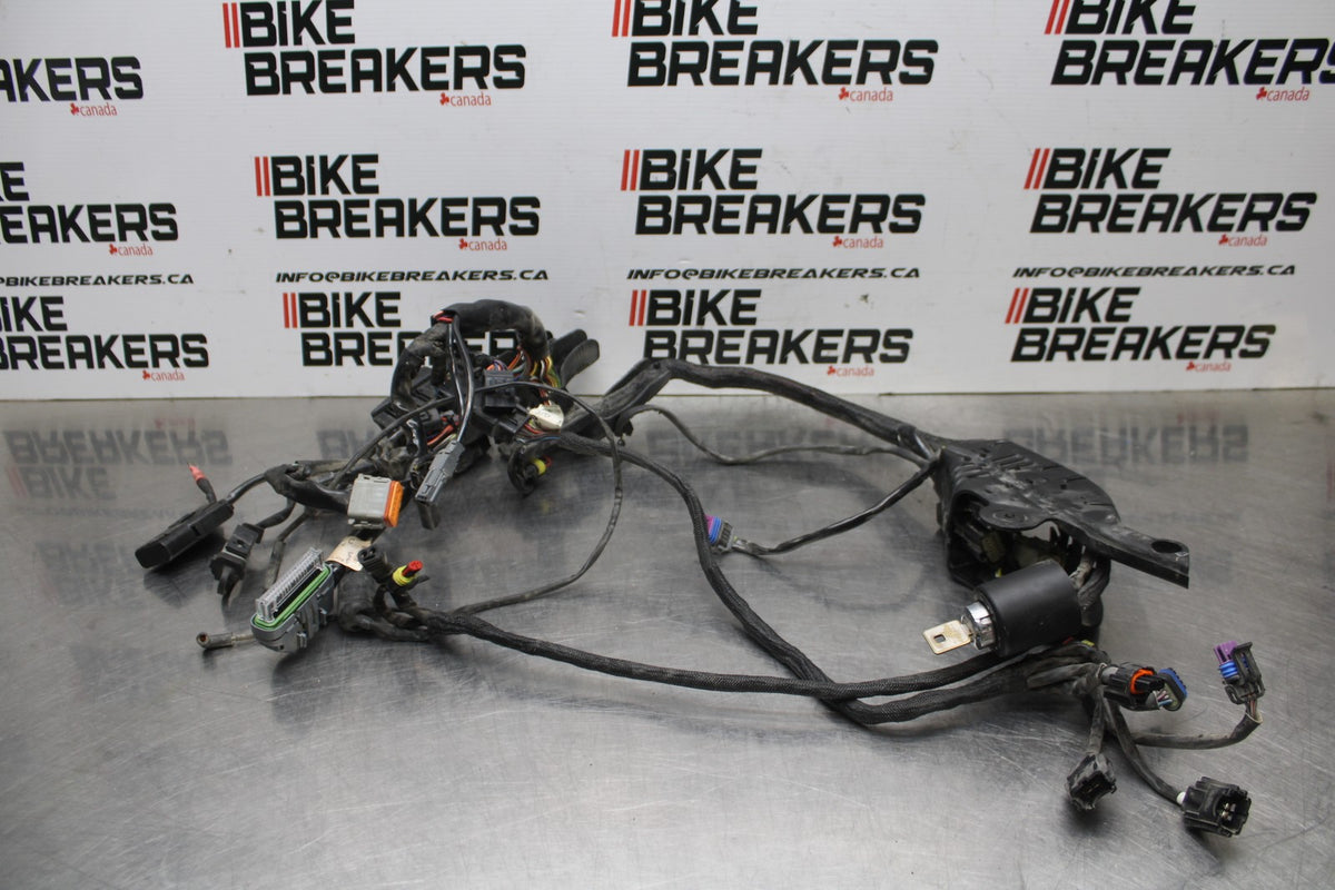 07 HARLEY-DAVIDSON SPORTSTER 1200 XL1200C MAIN ENGINE WIRING HARNESS  BB833