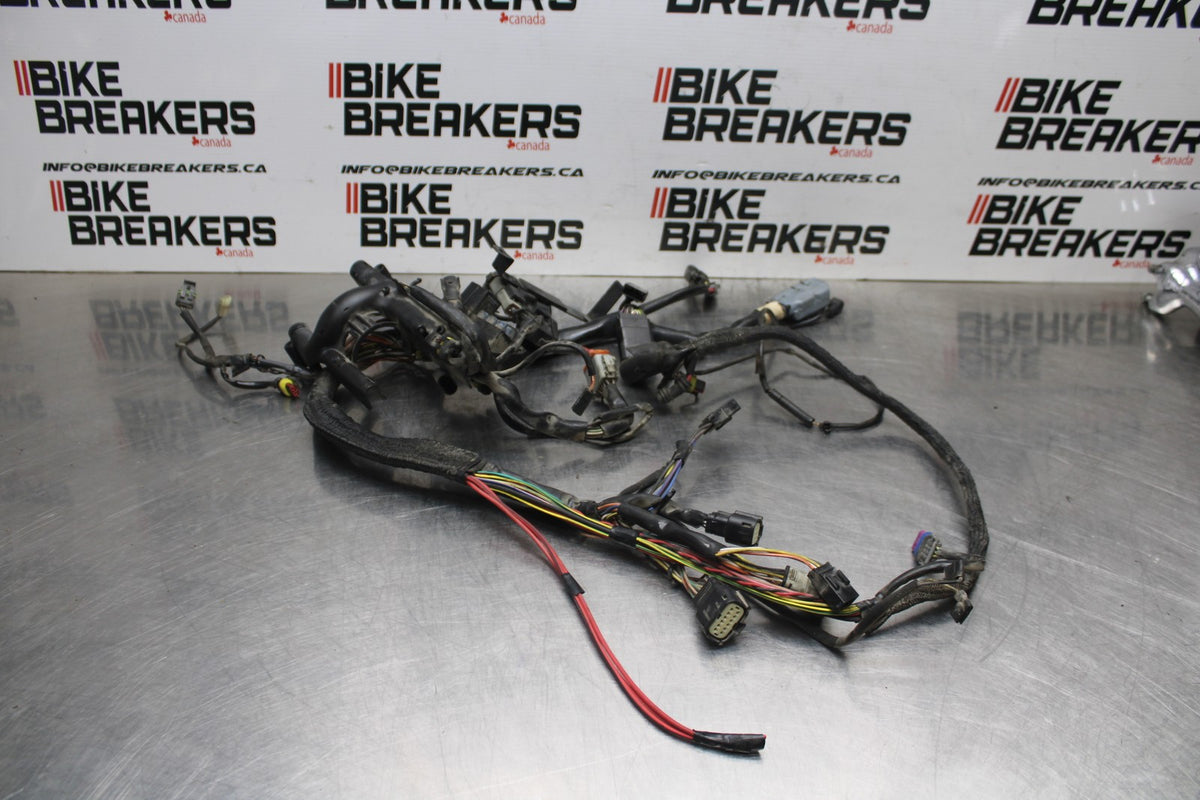 08 HARLEY-DAVIDSON SPORTSTER 1200 MAIN ENGINE WIRING HARNESS WIRE LOOM BB794