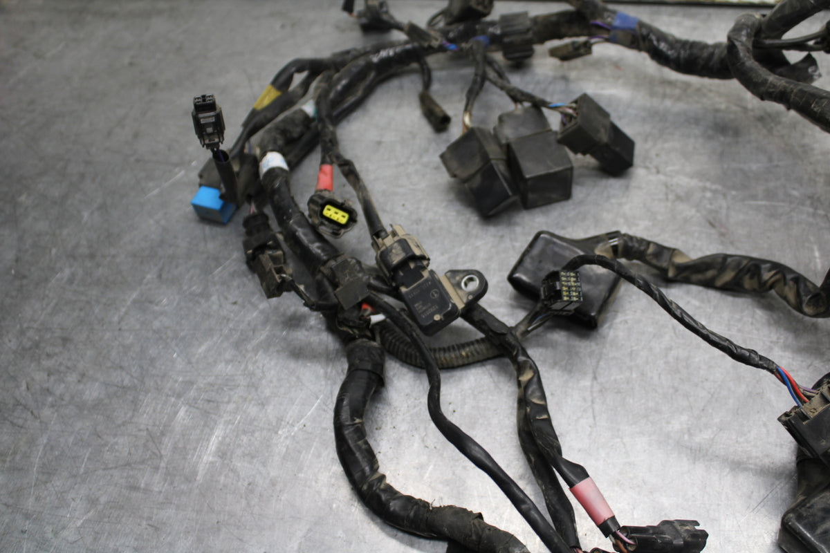 14-16 TRIUMPH AMERICA LT MAIN ENGINE WIRING HARNESS MOTOR WIRE LOOM BB720