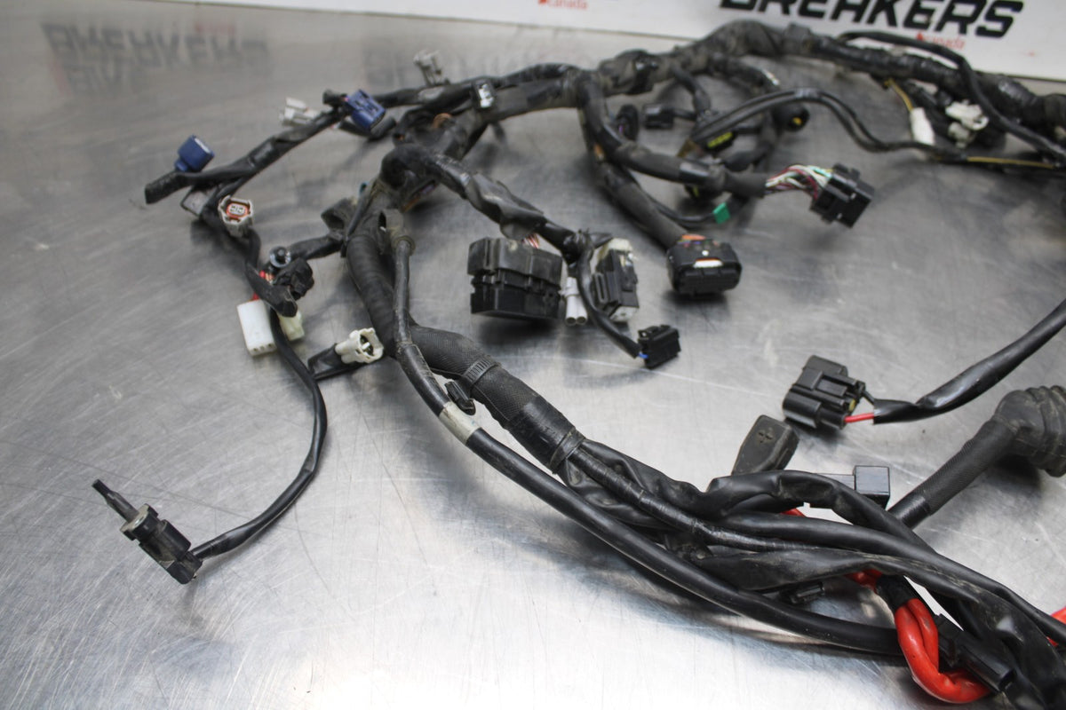 16 YAMAHA XSR900 MAIN ENGINE WIRING HARNESS MOTOR WIRE LOOM BB786