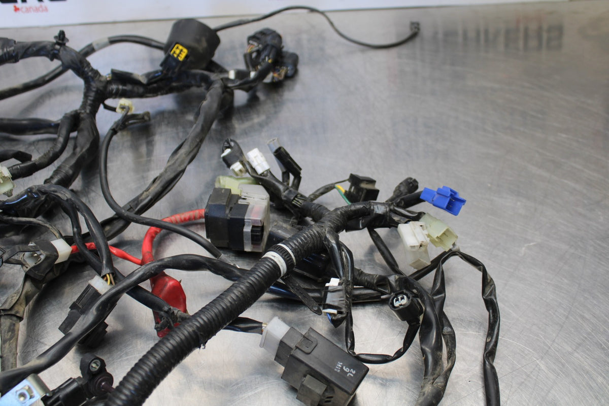 09 YAMAHA V STAR 950 MAIN ENGINE WIRING HARNESS MOTOR WIRE LOOM BB172