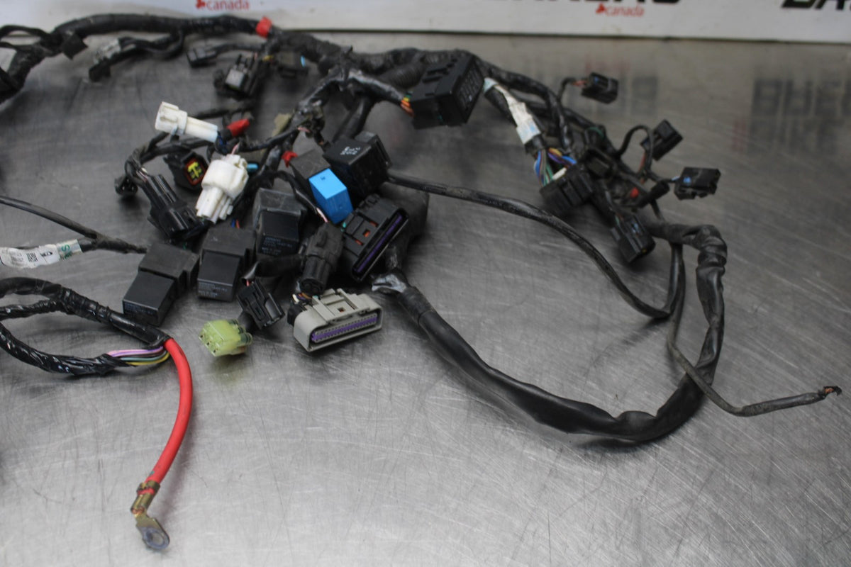 12 TRIUMPH STREET TRIPLE R MAIN ENGINE WIRING HARNESS MOTOR WIRE LOOM BB914