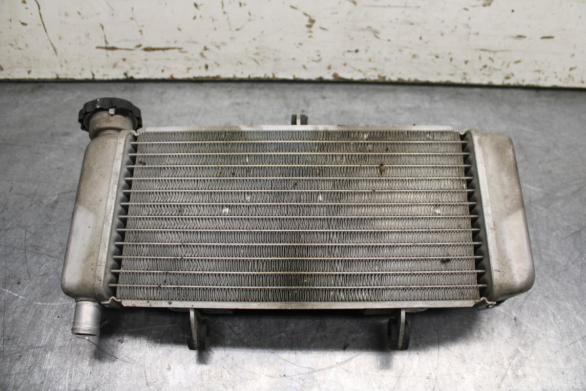 15-16 HONDA CB300F ENGINE RADIATOR MOTOR COOLER COOLING RADIATER BB740