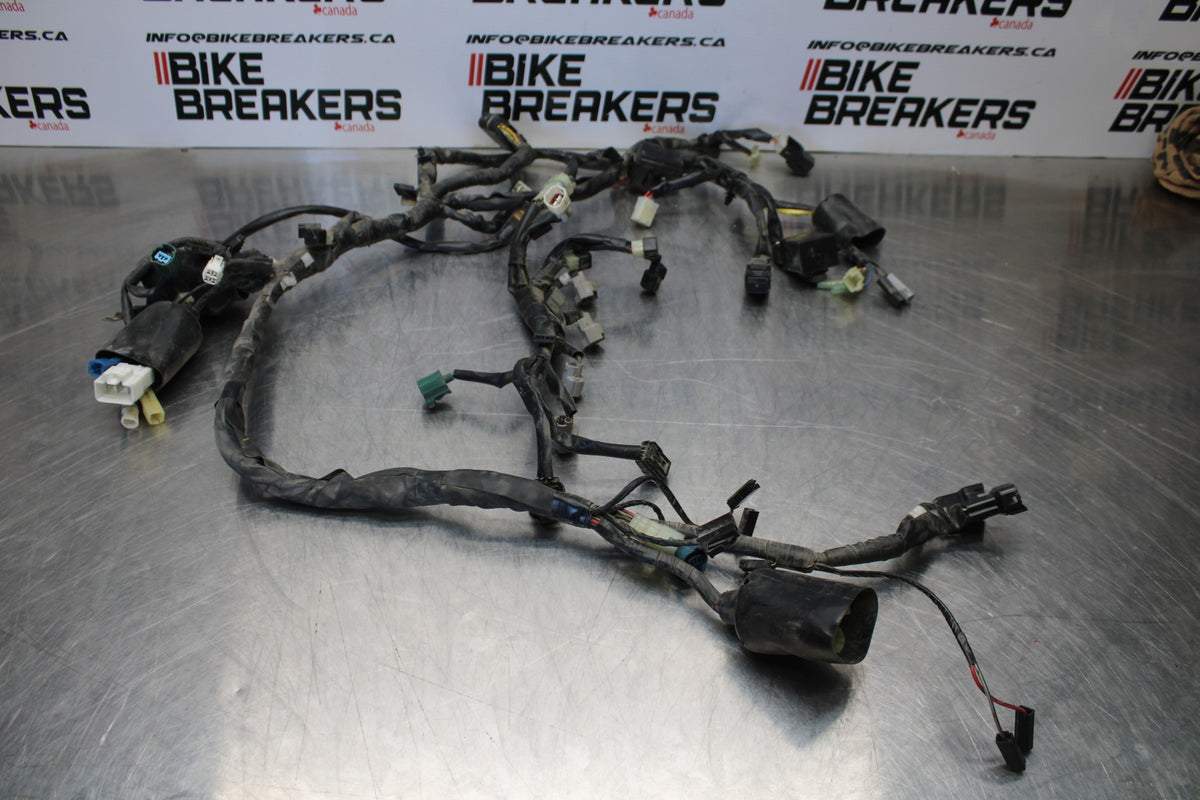 09-15 YAMAHA FZ6R MAIN ENGINE WIRING HARNESS MOTOR WIRE LOOM BB161