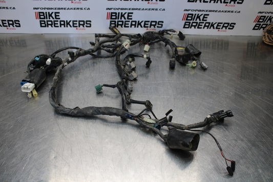 09-15 YAMAHA FZ6R MAIN ENGINE WIRING HARNESS MOTOR WIRE LOOM BB161