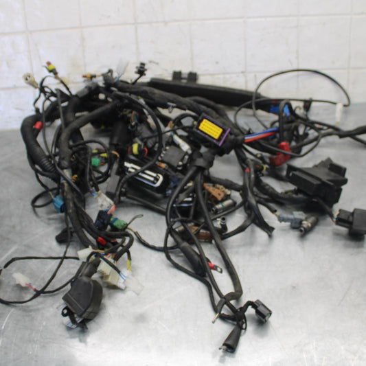 2010 Aprilia RSV1000R MAIN ENGINE WIRING HARNESS MOTOR WIRE LOOM BB513