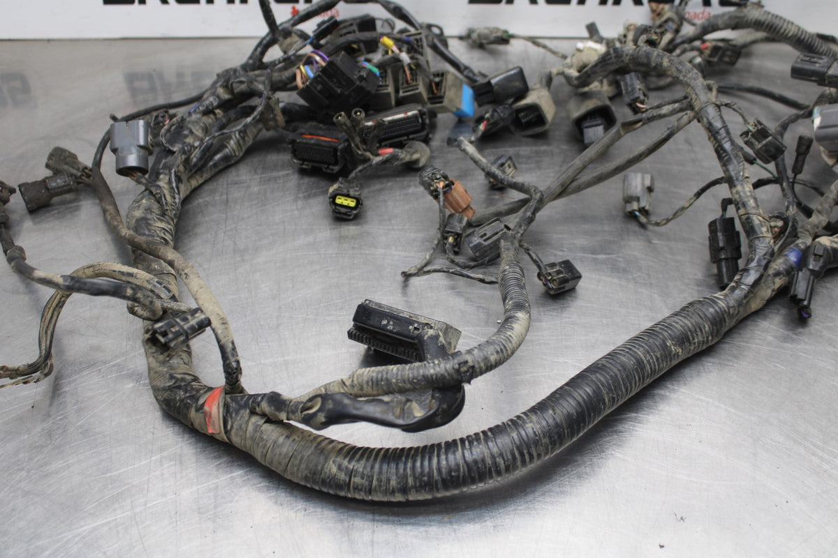 15 TRIUMPH TIGER 800 MAIN ENGINE WIRING HARNESS MOTOR WIRE LOOM BB873