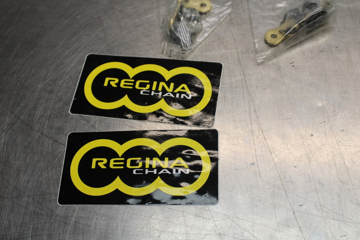 REGINA NEW!! 96 LINK 525 MAIN DRIVE CHAIN BB876 
