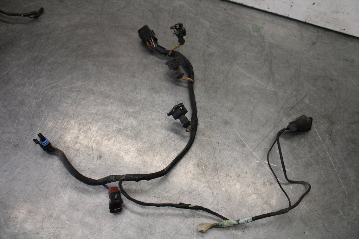 01-06 TRIUMPH TIGER 955I INJECTOR WIRING HARNESS WIRE LOOM BB693